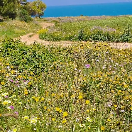 A 20 Passi Dal Mare Otranto