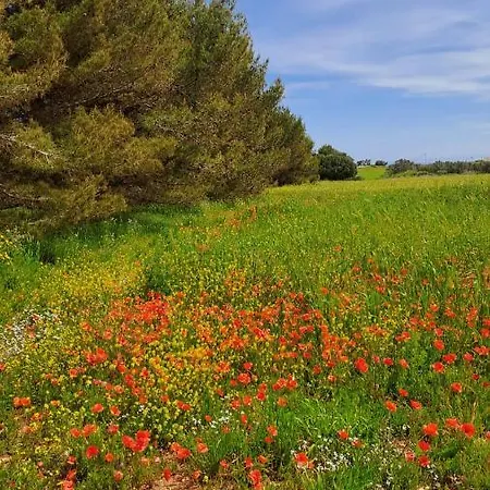 A 20 Passi Dal Mare Otranto